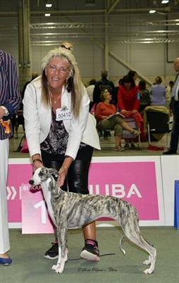 EDS-European Dog Show, Suna Regens Opal Winter Wiola BOB (pup), Judge: Patsy Gilmour UK